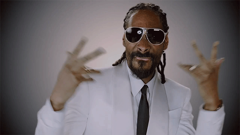 Image result for vibrating snoop dogg