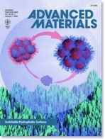 Advanced Materials 2008, 20(1)